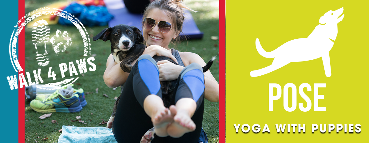2021 WFP - Yoga with Puppies